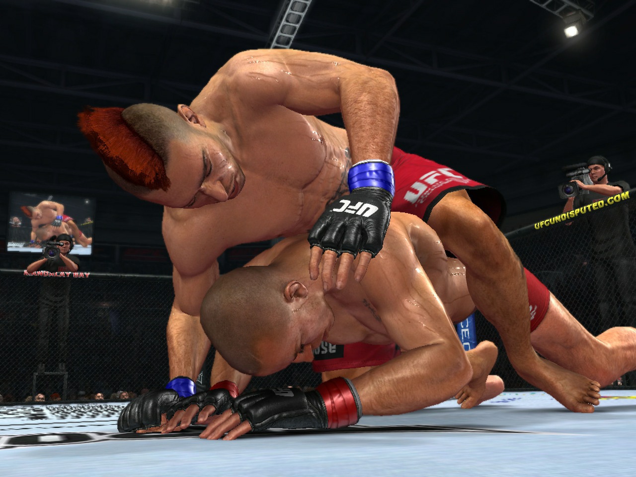 UFC Undisputed 2010